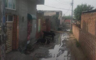 आदर्श गांव पाई में गली कच्ची होने के कारण ग्रामीणों को परेशान।